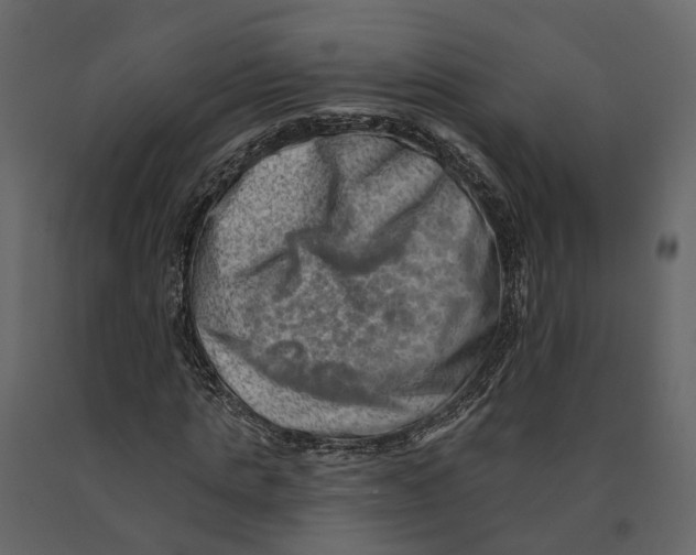 X0000090930821200708271043