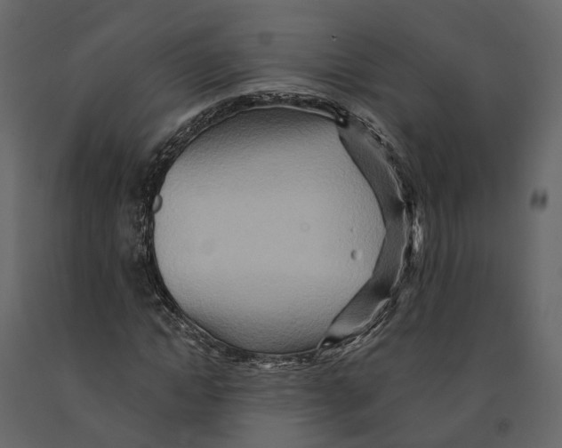 X0000090930822200708271043