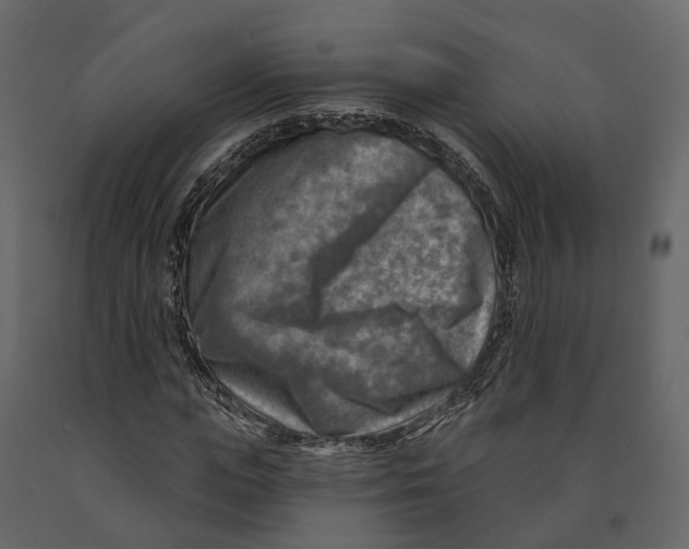 X0000090930823200708271043