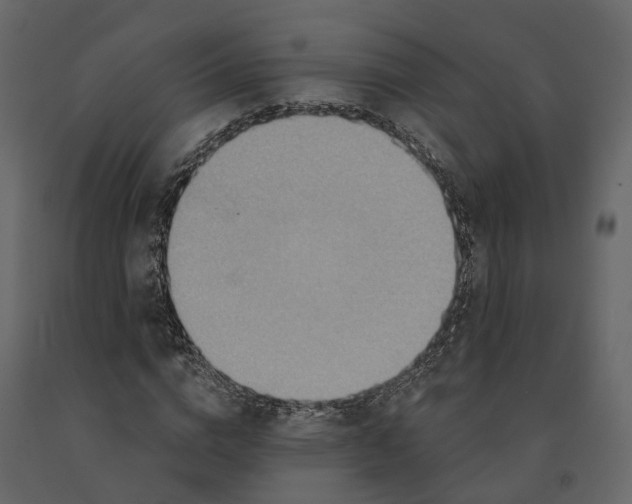 X0000090930824200708271043