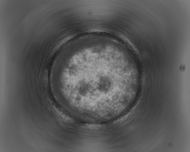 X0000090930825200708271043