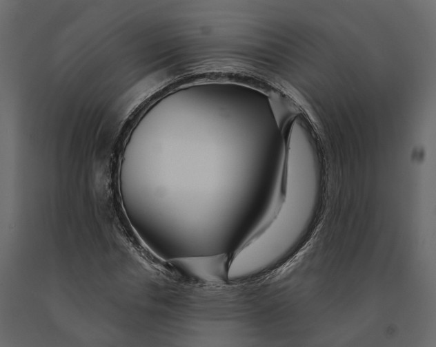 X0000090930826200708271043