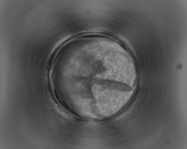 X0000090930827200708271043