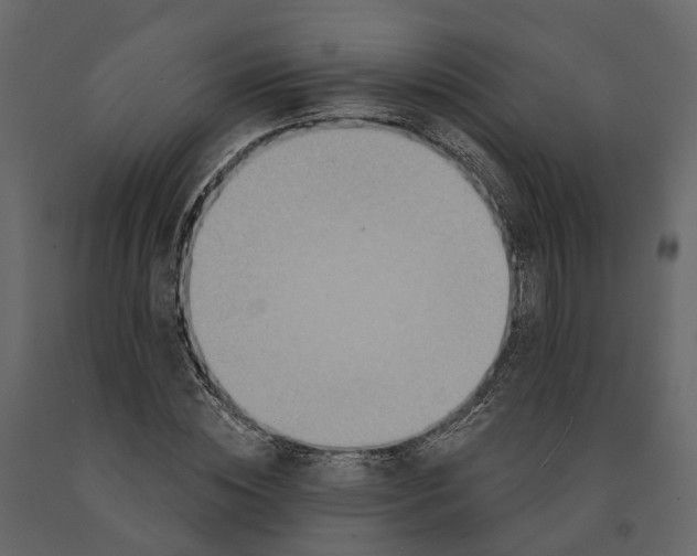 X0000090930828200708271043