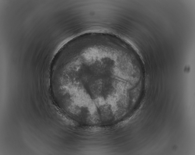 X0000090930829200708271043