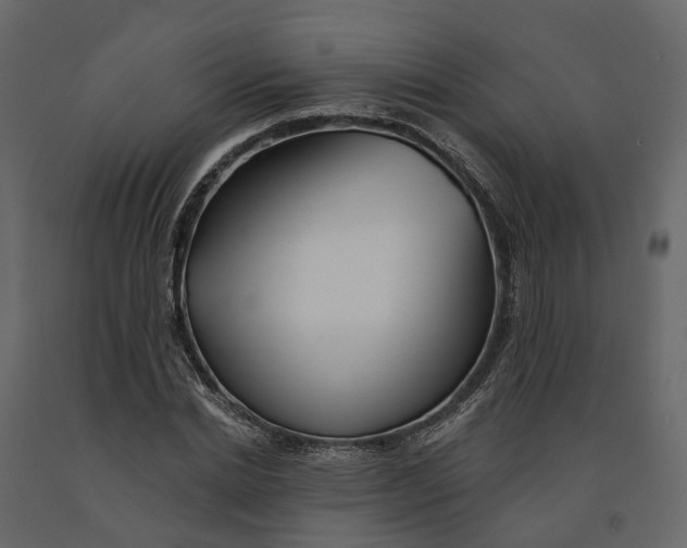 X0000090930830200708271043