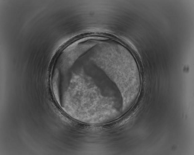 X0000090930831200708271043