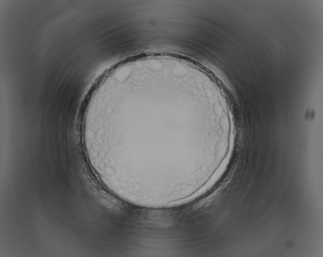 X0000090930832200708271043