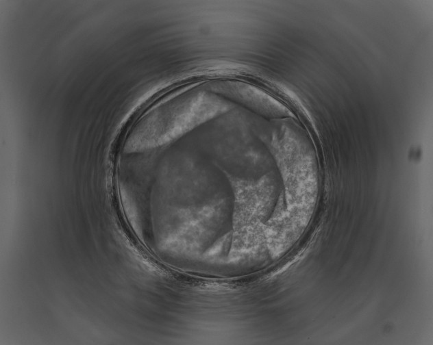 X0000090930835200708271043