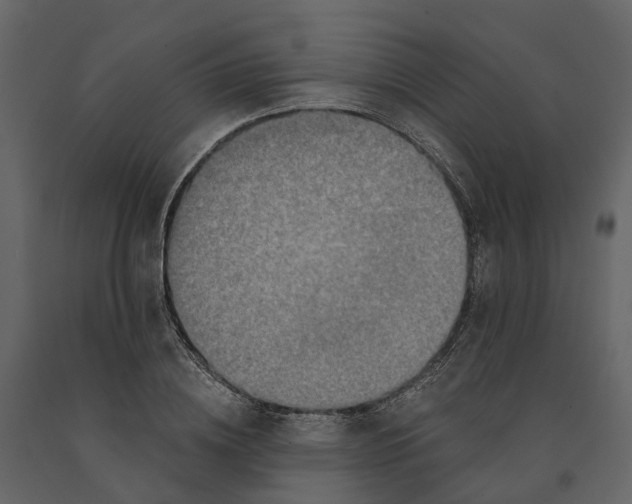 X0000090930836200708271043