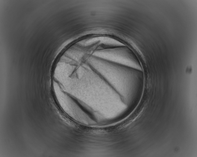 X0000090930837200708271043