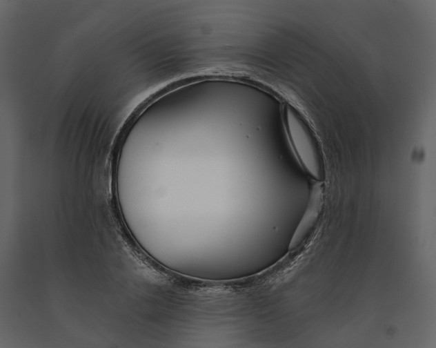 X0000090930838200708271043