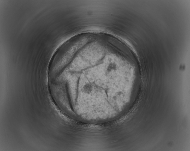 X0000090930839200708271043