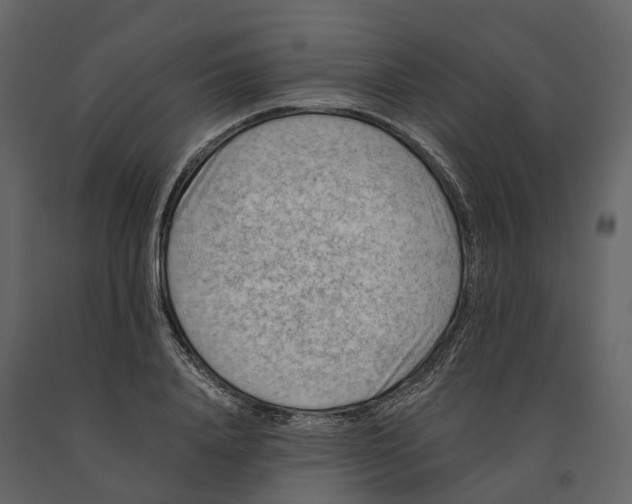 X0000090930840200708271043