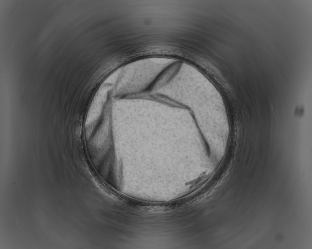 X0000090930841200708271043