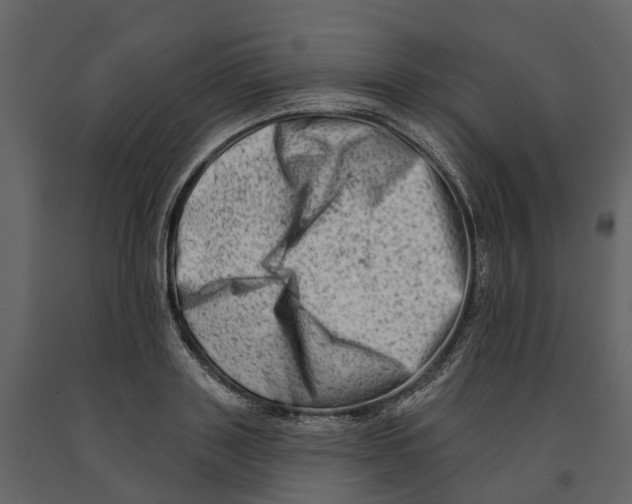 X0000090930843200708271043