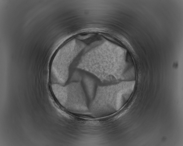 X0000090930844200708271043