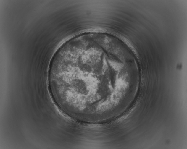 X0000090930845200708271043