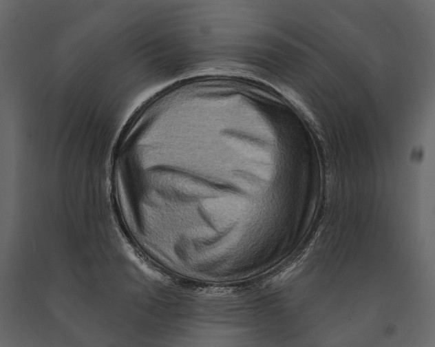 X0000090930846200708271043