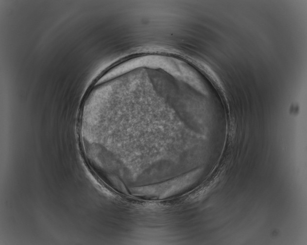 X0000090930847200708271043