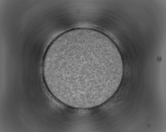 X0000090930848200708271043