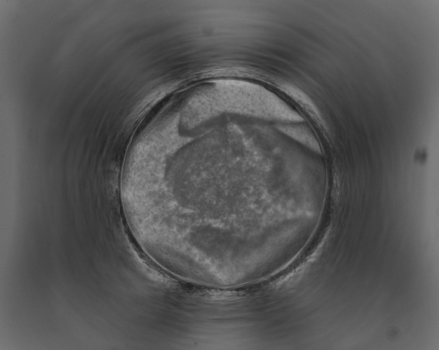 X0000090930849200708271043