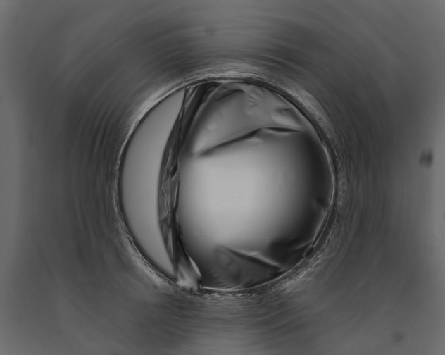 X0000090930850200708271043