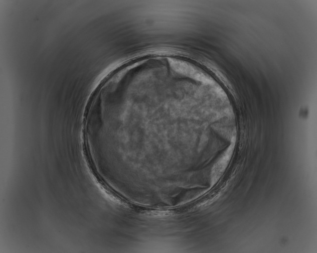 X0000090930853200708271043