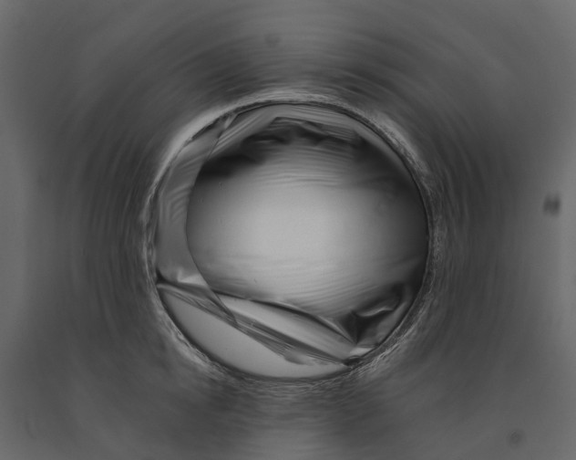 X0000090930854200708271043