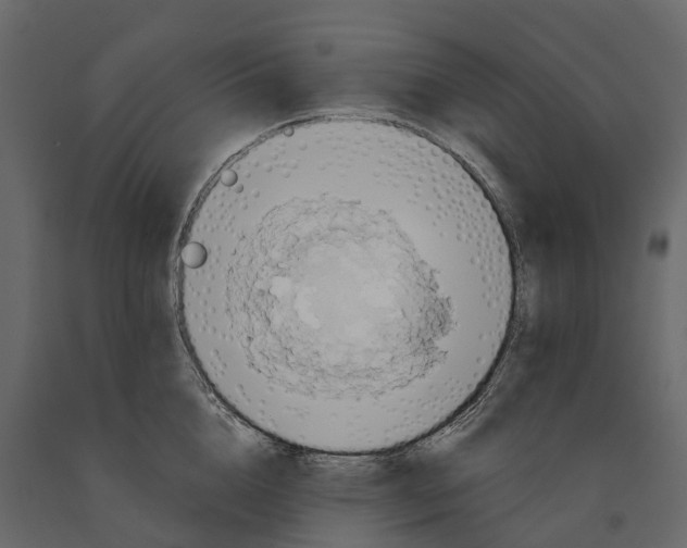 X0000090930856200708271043