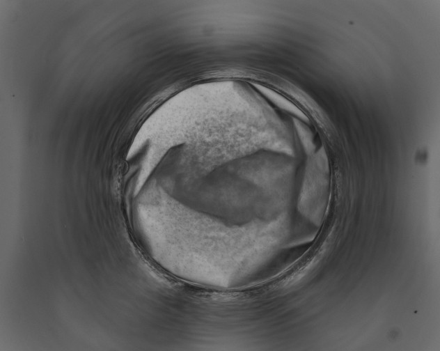 X0000090930857200708271043