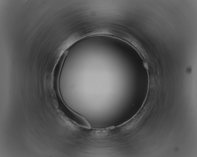 X0000090930858200708271043