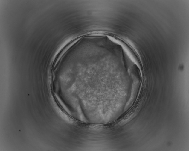 X0000090930859200708271043