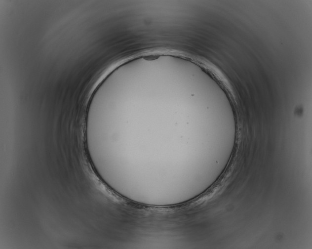 X0000090930860200708271043