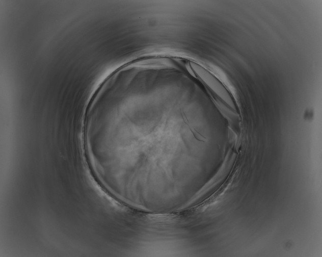 X0000090930863200708271043