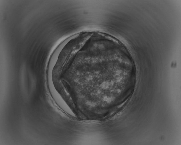 X0000090930864200708271043