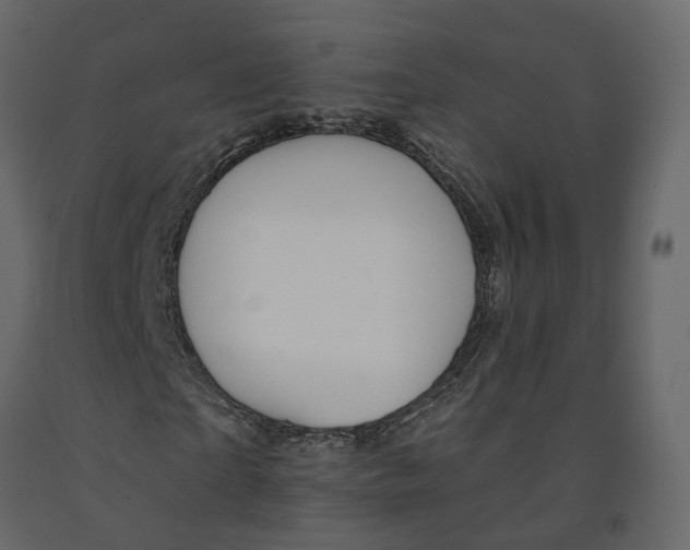 X0000090930865200708271042