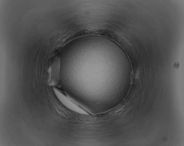 X0000090930868200708271042