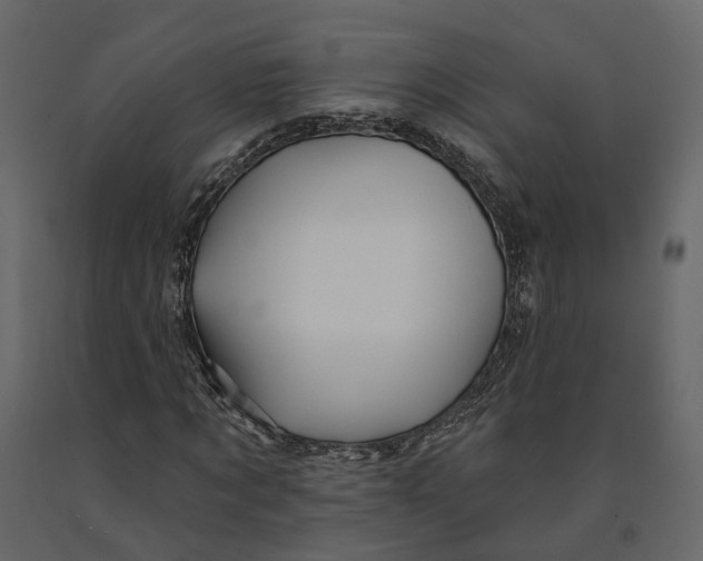 X0000090930869200708271042