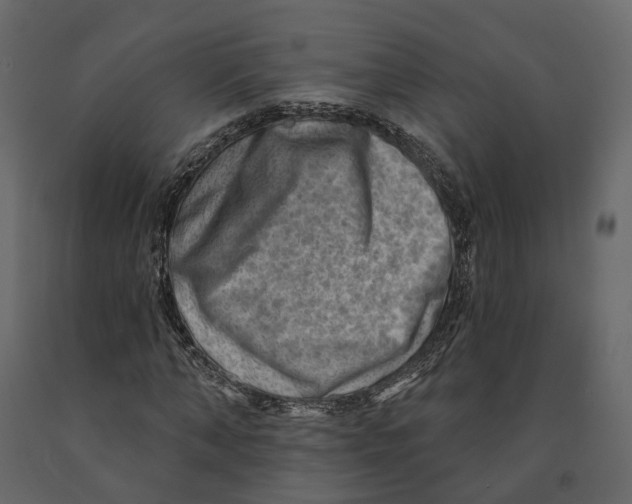 X0000090930870200708271042