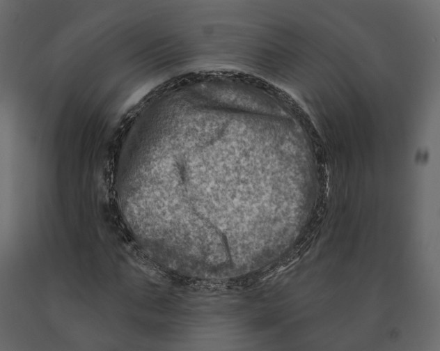 X0000090930871200708271042