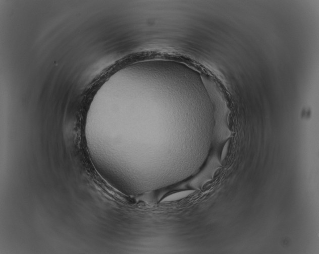 X0000090930872200708271042