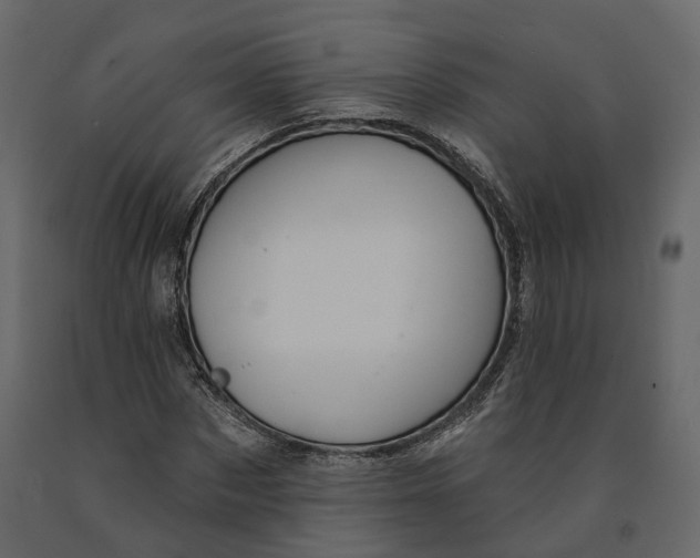 X0000090930873200708271042