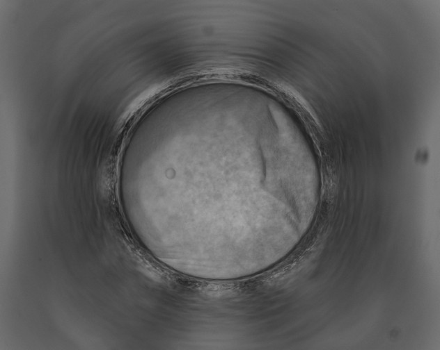 X0000090930874200708271042