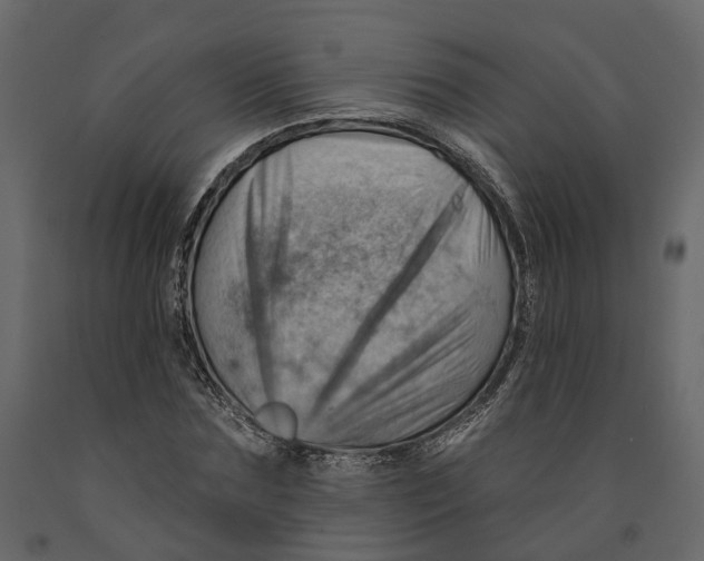 X0000090930875200708271042