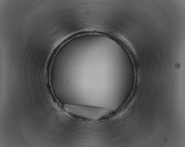 X0000090930876200708271042