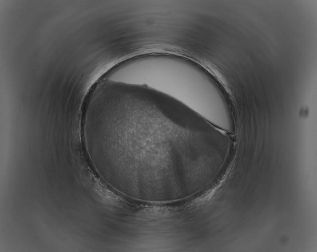 X0000090930877200708271042