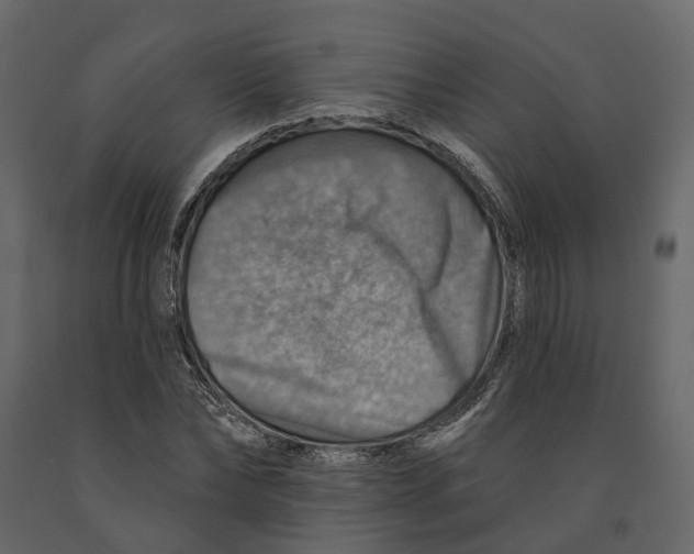 X0000090930878200708271042