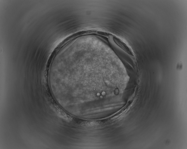 X0000090930879200708271042