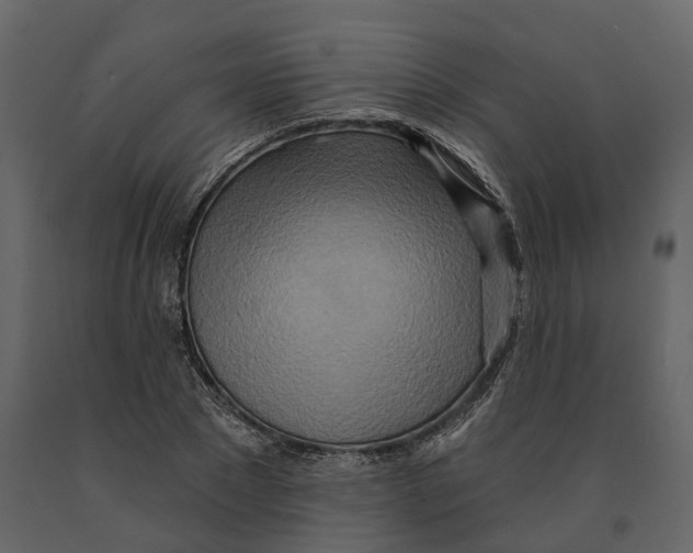 X0000090930881200708271042